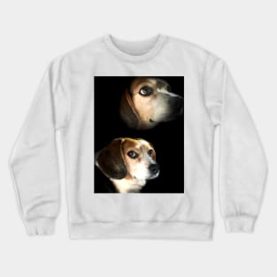 The Double Exposure Beagle Crewneck Sweatshirt